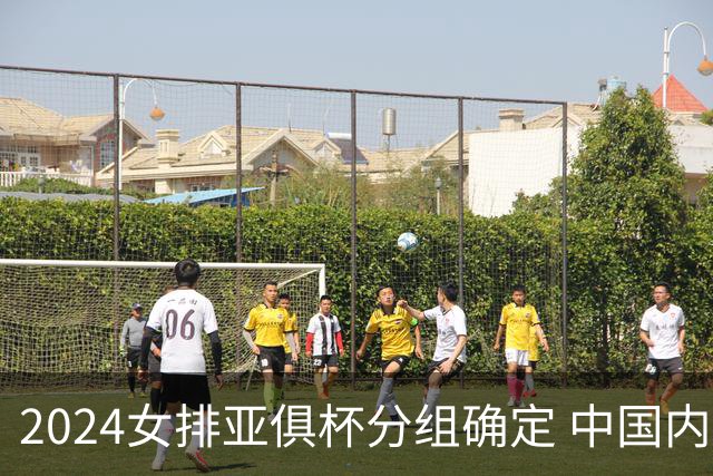 2024女排亚俱杯分组确定 中国内地未派俱乐部参赛